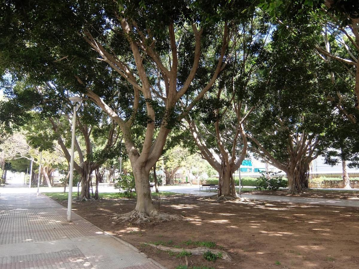 Cancun Playa De Gandia - Solo Alquiler Familias Zewnętrze zdjęcie